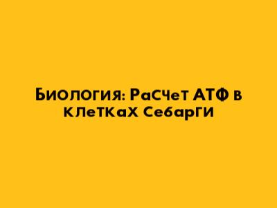 Биология: Расчет АТФ в клетках себарги