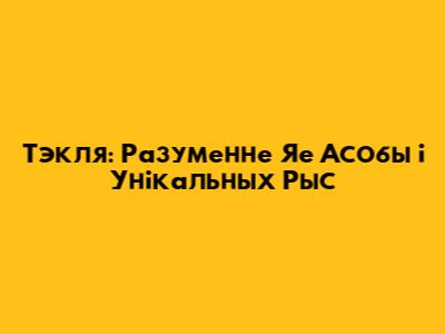 Тэкля: Разуменне Яе Асобы і Унікальных Рыс