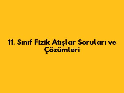 11. Sınıf Fizik Atışlar Soruları ve Çözümleri