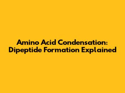 Amino Acid Condensation: Dipeptide Formation Explained
