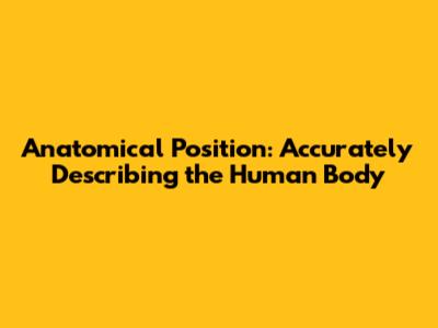 Anatomical Position: Accurately Describing the Human Body