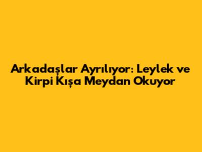 Arkadaşlar Ayrılıyor: Leylek ve Kirpi Kışa Meydan Okuyor