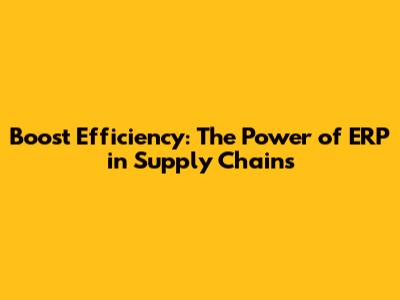 Boost Efficiency: The Power of ERP in Supply Chains