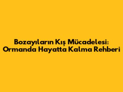 Bozayıların Kış Mücadelesi: Ormanda Hayatta Kalma Rehberi