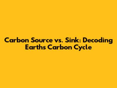 Carbon Source vs. Sink: Decoding Earth's Carbon Cycle