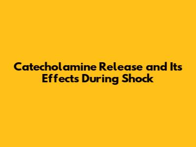 Catecholamine Release and Its Effects During Shock