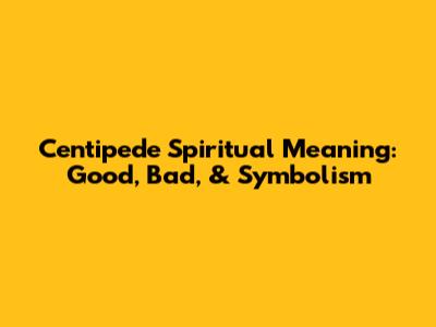 Centipede Spiritual Meaning: Good, Bad, & Symbolism