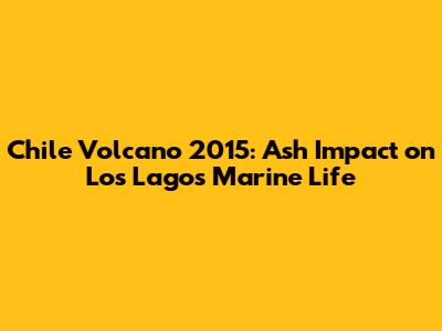 Chile Volcano 2015: Ash Impact on Los Lagos Marine Life