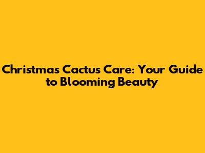 Christmas Cactus Care: Your Guide to Blooming Beauty