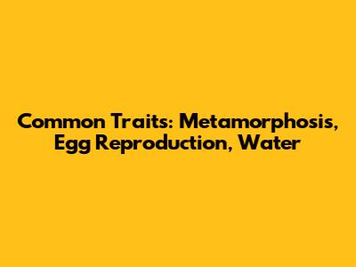 Common Traits: Metamorphosis, Egg Reproduction, Water