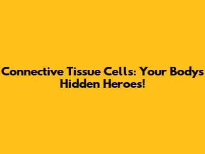 Connective Tissue Cells: Your Body's Hidden Heroes!
