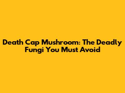 Death Cap Mushroom: The Deadly Fungi You Must Avoid