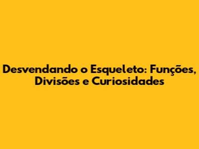 Desvendando o Esqueleto: Funções, Divisões e Curiosidades