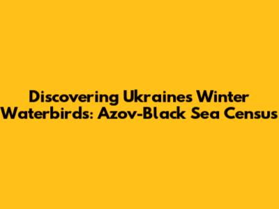 Discovering Ukraine's Winter Waterbirds: Azov-Black Sea Census
