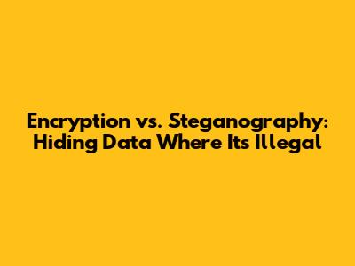 Encryption vs. Steganography: Hiding Data Where It's Illegal