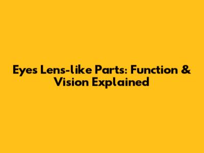 Eye's Lens-like Parts: Function & Vision Explained