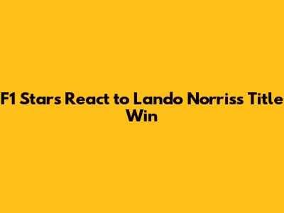 F1 Stars React to Lando Norris's Title Win