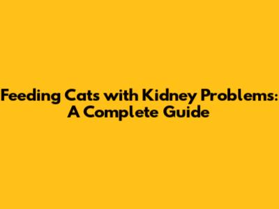 Feeding Cats with Kidney Problems: A Complete Guide