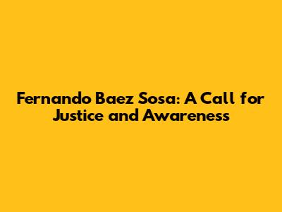 Fernando Baez Sosa: A Call for Justice and Awareness