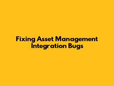 Fixing Asset Management Integration Bugs