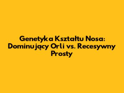 Genetyka Kształtu Nosa: Dominujący Orli vs. Recesywny Prosty