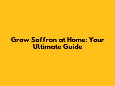 Grow Saffron at Home: Your Ultimate Guide