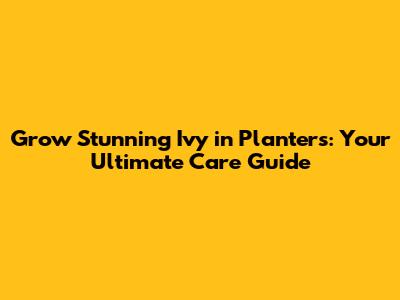Grow Stunning Ivy in Planters: Your Ultimate Care Guide
