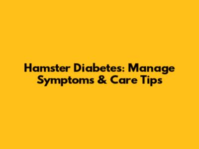 Hamster Diabetes: Manage Symptoms & Care Tips