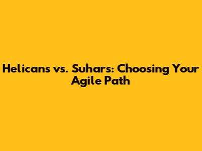 Helicans vs. Suhars: Choosing Your Agile Path