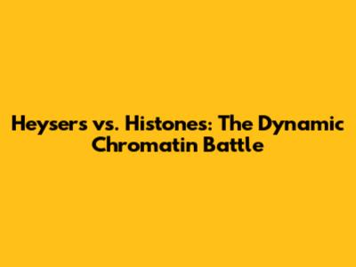 Heysers vs. Histones: The Dynamic Chromatin Battle