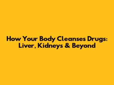 How Your Body Cleanses Drugs: Liver, Kidneys & Beyond