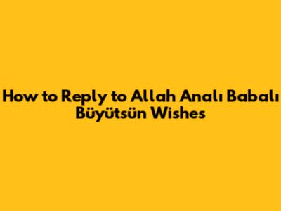 How to Reply to 'Allah Analı Babalı Büyütsün' Wishes