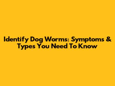 Identify Dog Worms: Symptoms & Types You Need To Know