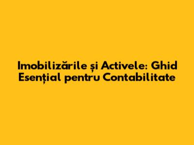Imobilizările și Activele: Ghid Esențial pentru Contabilitate
