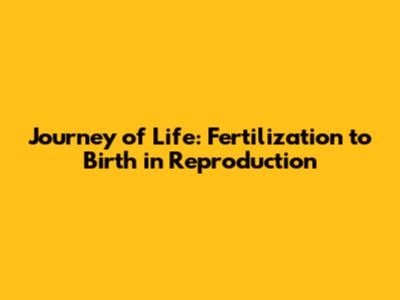 Journey of Life: Fertilization to Birth in Reproduction