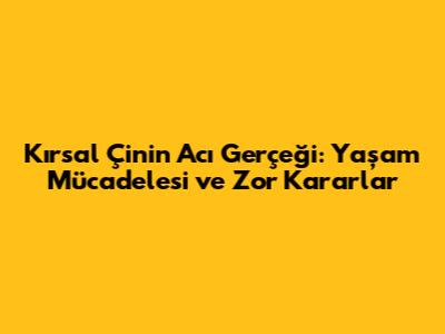 Kırsal Çin'in Acı Gerçeği: Yaşam Mücadelesi ve Zor Kararlar