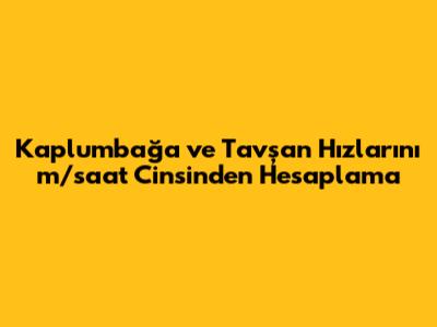 Kaplumbağa ve Tavşan Hızlarını m/saat Cinsinden Hesaplama