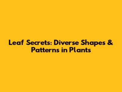 Leaf Secrets: Diverse Shapes & Patterns in Plants