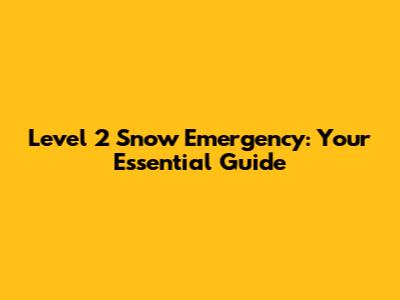 Level 2 Snow Emergency: Your Essential Guide