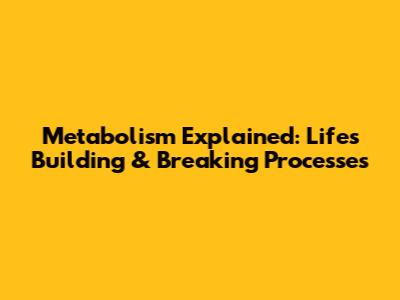 Metabolism Explained: Life's Building & Breaking Processes