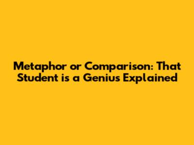 Metaphor or Comparison: 'That Student is a Genius' Explained