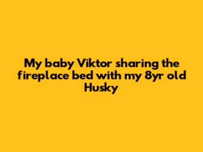 My baby Viktor sharing the fireplace bed with my 8yr old Husky