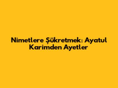 Nimetlere Şükretmek: Ayatul Karim'den Ayetler