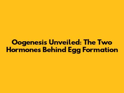 Oogenesis Unveiled: The Two Hormones Behind Egg Formation