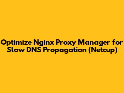 Optimize Nginx Proxy Manager for Slow DNS Propagation (Netcup)