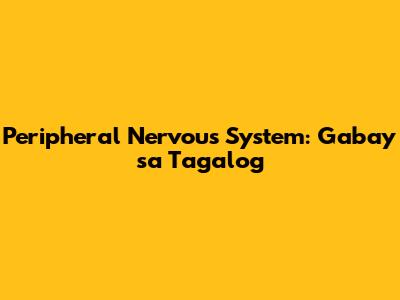 Peripheral Nervous System: Gabay sa Tagalog