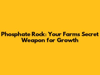 Phosphate Rock: Your Farm's Secret Weapon for Growth