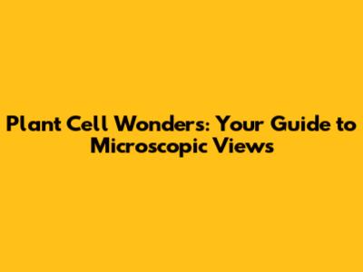 Plant Cell Wonders: Your Guide to Microscopic Views