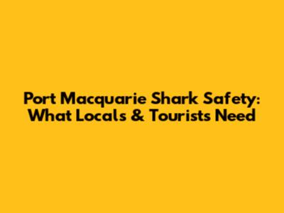 Port Macquarie Shark Safety: What Locals & Tourists Need