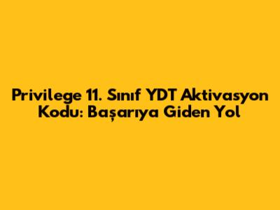 Privilege 11. Sınıf YDT Aktivasyon Kodu: Başarıya Giden Yol